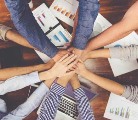 Bolsa Grace Post (540×470 px)|logo grace|Bolsa Grace mobile (1280×1600 px)|Bolsa Grace screen topo (1140X700px)